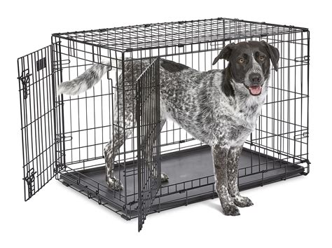 midwest homes for pets dog crate|midwest icrate 36 inch.